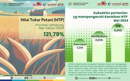 NTP Provinsi Lampung Mei Tahun 2024 sebesar 121,79%