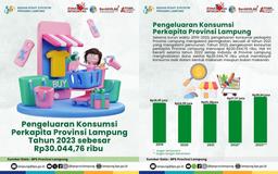 Pengeluaran Konsumsi perKapita Provinsi Lampung Tahun 2023 Sebesar 30 Juta 