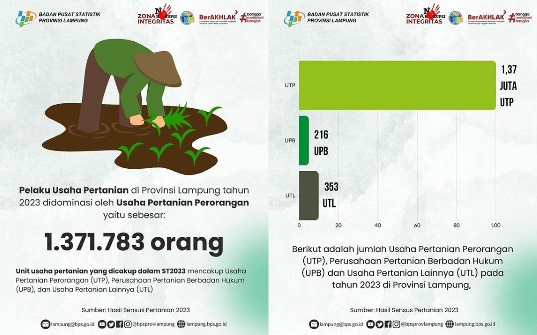 Agricultural business actors in Lampung Province in 2023 was dominated by individual businesses