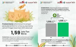 Rice production in 2023 will be 1.59 million tons in Lampung Province