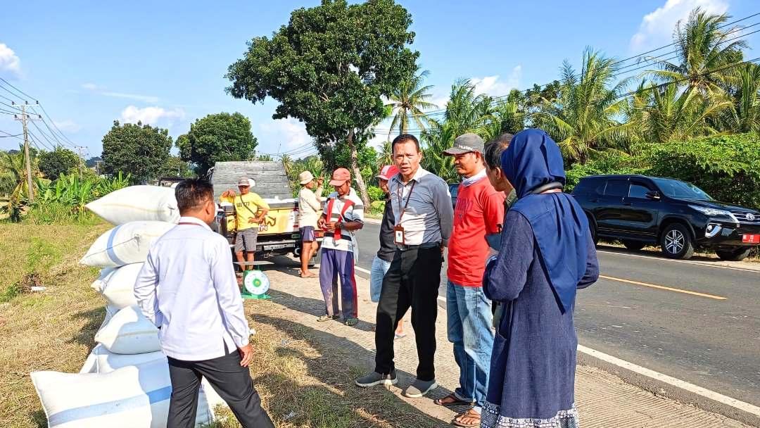 Kepala BPS Provinsi Lampung Tinjau Harga Gabah, dan Berdialog Dengan Petani di Lampung Selatan