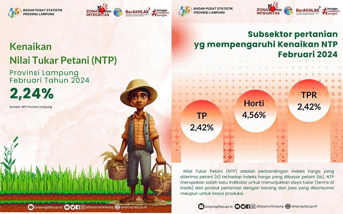 NTP Provinsi Lampung Pada Februari 2024 naik 2,24 persen dibanding NTP bulan sebelumnya