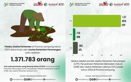 Agricultural business actors in Lampung Province in 2023 was dominated by individual businesses