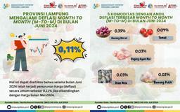 Provinsi Lampung Mengalami Deflasi sebesar 0,11 pada Bulan Juni 2024