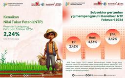 NTP Provinsi Lampung Pada Februari 2024 naik 2,24 persen dibanding NTP bulan sebelumnya